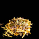 Messy Fries Meat Magnificent